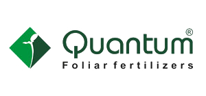 logo quantum