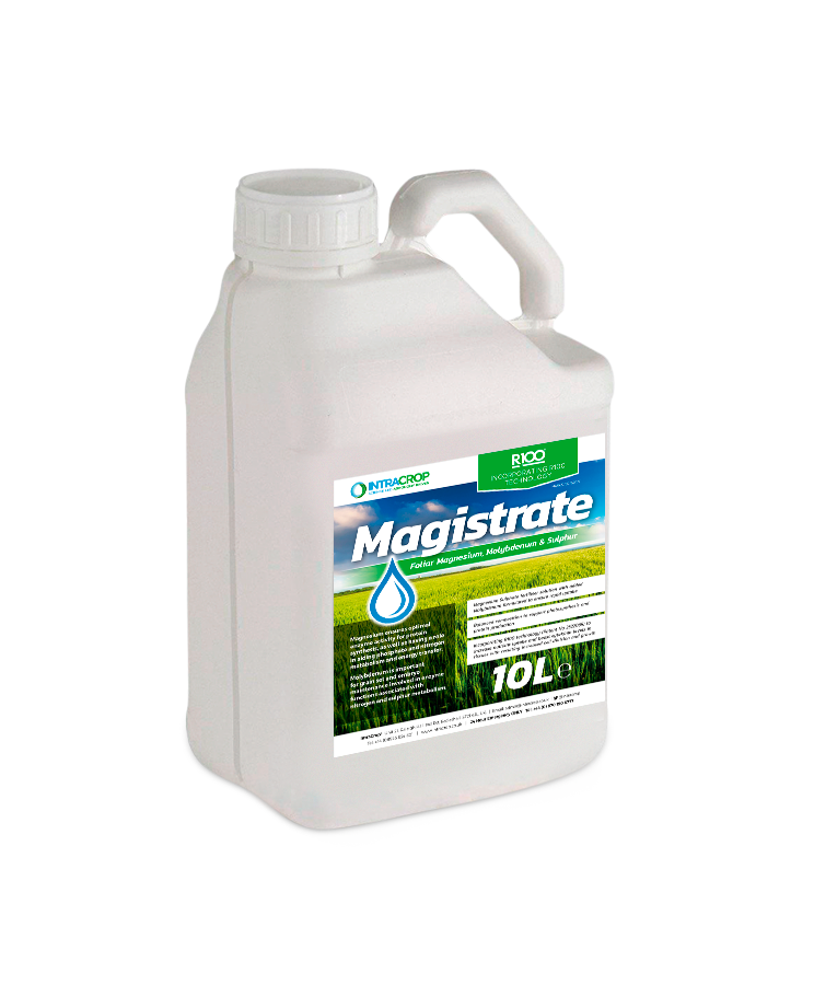 produkt magistrate od intracrop